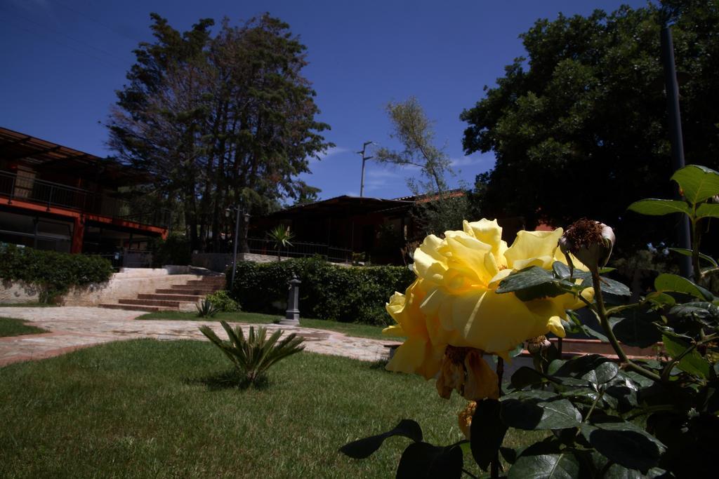 Residenza Mediterranea 赞布隆内 外观 照片