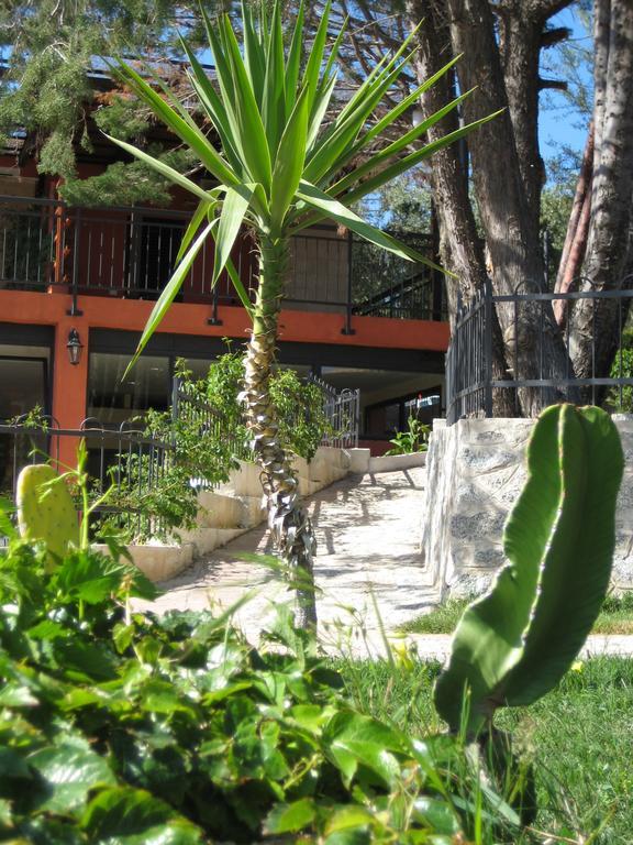 Residenza Mediterranea 赞布隆内 外观 照片